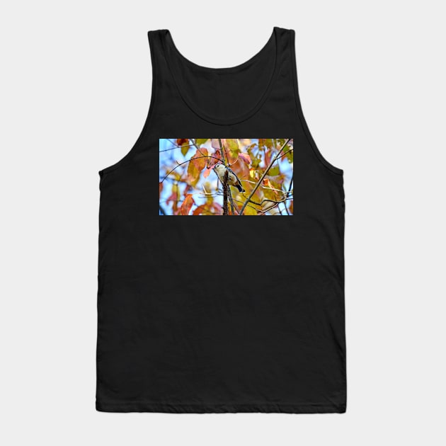 Nuthatch and Autumn Leaves Tank Top by Colette22